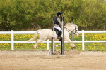 SBM_003891