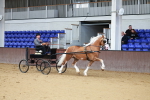 SBM_000521
