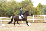 SBM_001214