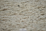 230630A-160259-03419
