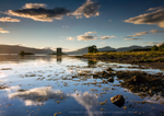 Castle Stalker Reflections