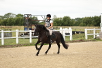 SBM_002971