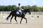 SBM_020203