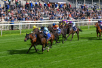 120626-Race 5-Antipodes-0294