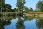 Summer reflections 2012