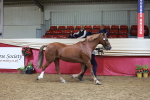 SBM_17433
