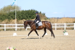 SBM_013204