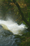 Wild Welsh Water