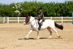 SBM_007261