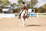 SBM_14374