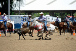 3HRodeo8-11-25_PRCASteer_04416_