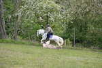 WJ6_1429