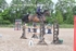 BPP_1779