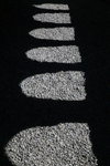 Cloister Shadows