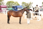 SBM_14639