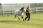 SBM_00424