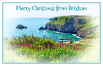 XM027 - Beautiful Berry Head at Brixham