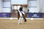 SBM_002185