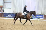 SBM_003531