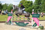 159-HATHAWAY_ROYALE-Izzy_Taylor-SUNTrotUp+SJ portfolio