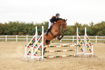 SBM_008751