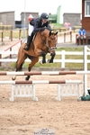 Cls 31 British Novice and 90cm portfolio