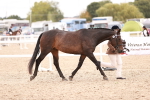 SBM_16376