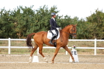 SBM_007529