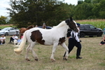 WJ6_5580