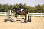 SBM_002272