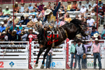 July 24 Rodeo Performance portfolio