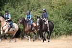 WJ6_9020