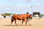SBM_11139