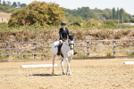 SBM_001781