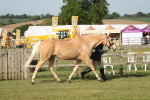 SBM_10463