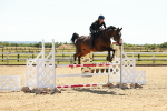 SBM_006732