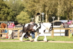 SBM_26330