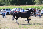 WJ6_4887
