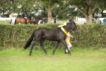 SBM_75358