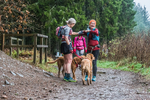 Glentress-687