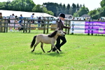 SBM_03614