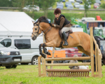 Dunblane show-527