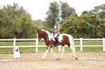 SBM_002567