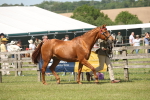 SBM_09065
