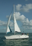 081009 GBR7048T INNUENDO 8CDX0