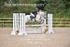 BPP_8206