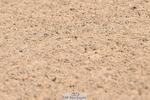 240509A-091927-00521