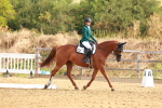 SBM_000208