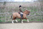 SBM_007161