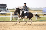 SBM_001171